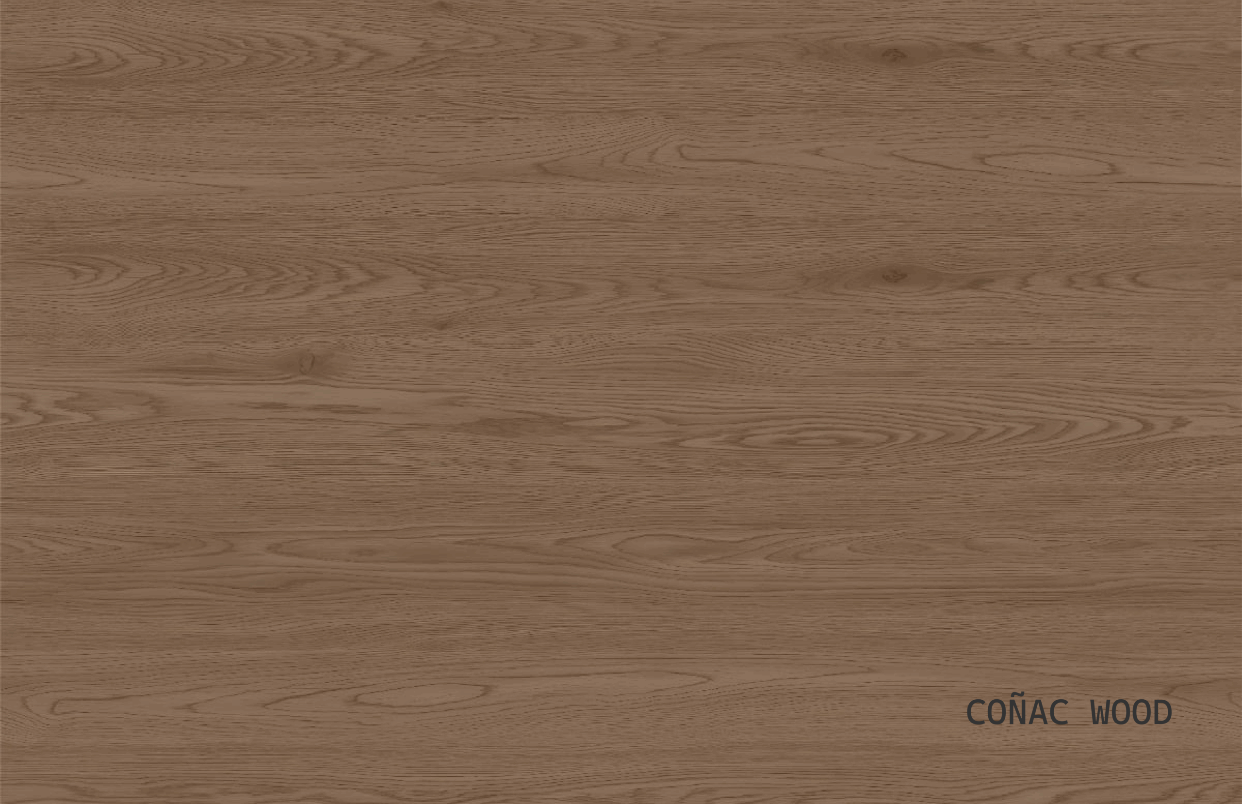 COÑAC_Mesa de trabajo 1